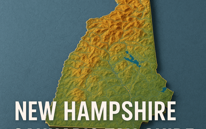 A stylized 3D topographic map of New Hampshire on an 800×600 canvas. The state’s terrain is rendered with a smooth gradient—from green in low-lying areas through yellow and orange to brown at higher elevations—with subtle contour lines and rivers visible. The map floats against a muted blue-gray background. In bold white uppercase letters across the lower third of the image is the title “NEW HAMPSHIRE CANNABIS TAX GUIDE.”