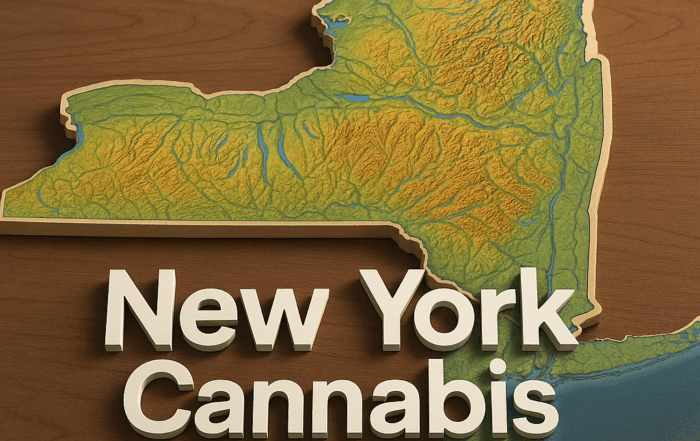 An 800×600 illustration of a three-dimensional topographic map of New York State resting on a wooden surface. The map is rendered in green, yellow, and brown gradient colors to highlight lowlands and mountainous regions—most notably the Adirondack range in the north and the Catskills in the south—with blue waterways and lakes visible. In the foreground, bold white 3D letters spell out “New York Cannabis Tax Guide,” casting soft shadows that accentuate both the text and the terrain’s relief.