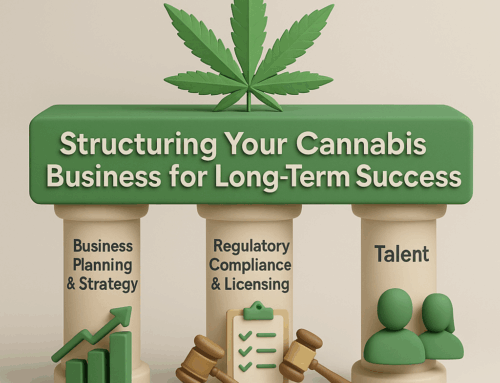 Structuring Your Cannabis Business for Long-Term Success