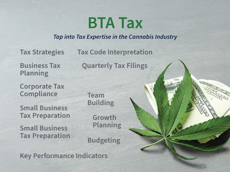 CFO - On Call imagery of a glass globe, green tinted and an overlying magnifying glass examining a cannabis leaf and the globe. Service area topics are listed.